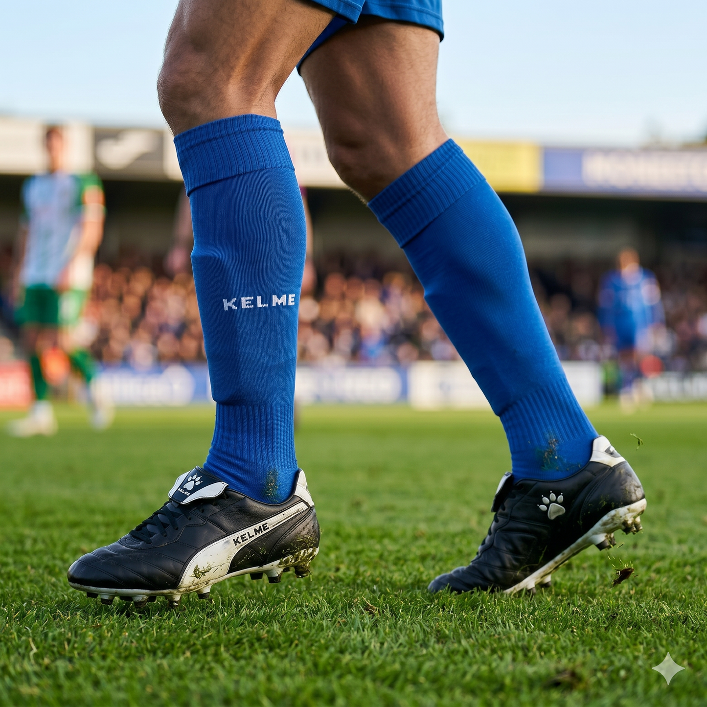 One Football Sock - Royal