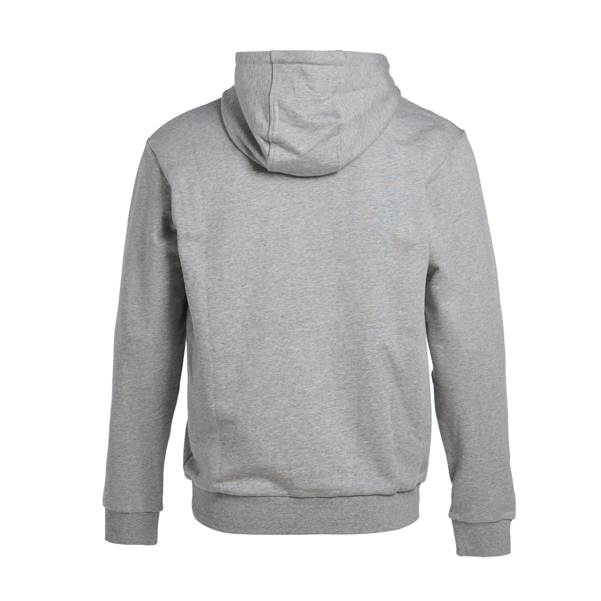 Capsule Hoodie- Grey